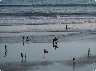 Rent a beach house